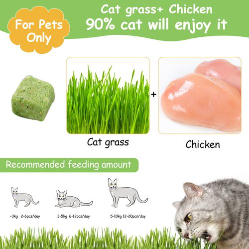 HavenJanny 120g Cat Grass Treats for Cat, Freezed Drying Cat Grass Teething Stick Snacks for Cats, Edible Cat Chew Toys for Hairball Removal and Teeth Cleaning