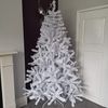 Snowtime 7ft (210cm) White Colorado Pine Christmas Tree with 874 Tips