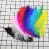 10 Pcs Multicolor Ostrich Feathers for DIY Crafts 25cm-30cm Long