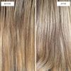 Cool Blonde Shampoo