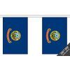 Idaho Small Bunting (10 flags) 3m
