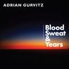 BLOOD, SWEAT AND YEARS [VINYL]
