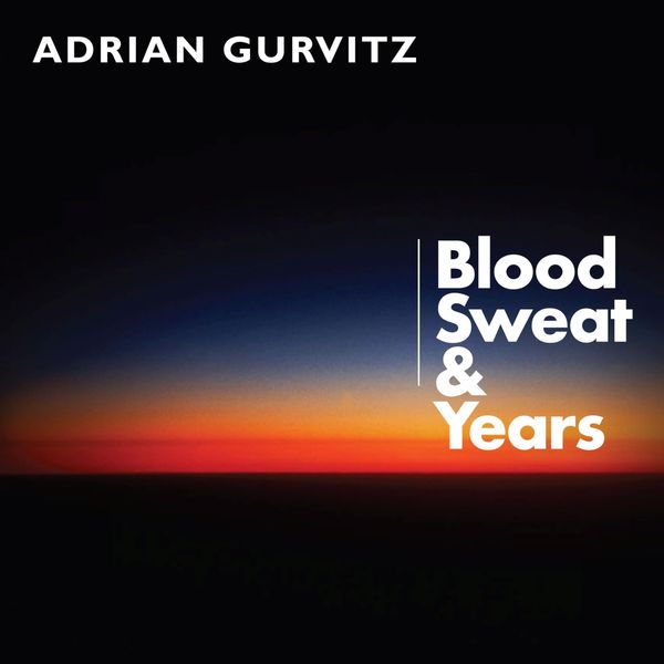 BLOOD, SWEAT AND YEARS [VINYL]