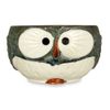 Owl Snuggle Mug (Gray)
