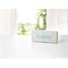 Cogit Power Bio Window Mold Clean Mildew / Deodorizing (Replacement Estimate: 3 Months), Set of 2
