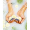 Pure Beauty Spring 2023 Nail Polish Collection - T