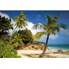 Komar 8-885 Blue Praslin Wall Mural, 368 x 254 cm