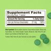 Fergon High Potency Iron Supplement Tablets 100 ea (Pack of 3)