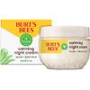 Burt's Bees Gentle Night Cream Moisturizer for Face & Sensitive Skin - Made with Aloe Vera & Rice Milk to Soothe Skin, Dermatologist Tested (1.8 oz)