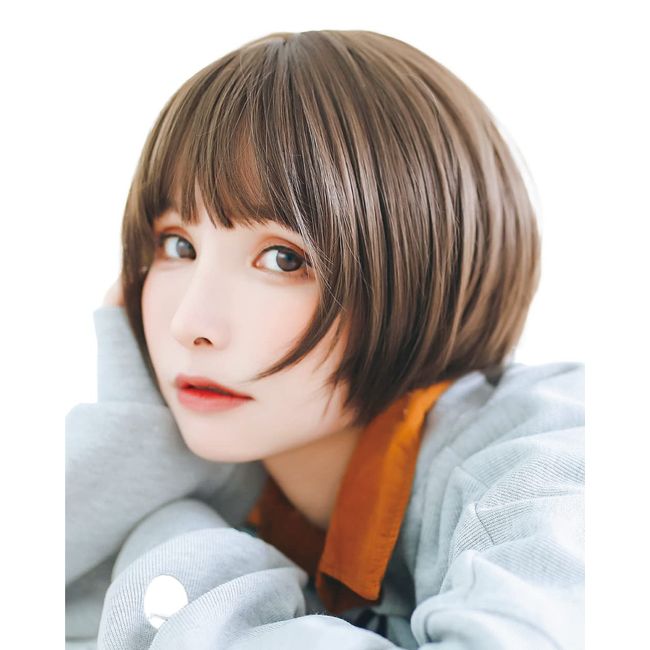 TefuRe D-3110-Lt Wig, Short Bob, Heat Resistant, Full Wig, Black Hair, Brown, Gray, Blue, Natural, Round Silhouette, Wig Net Included, Round Short, Latte