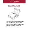 Integrate Compact Case for Ra Pro Finish Foundation