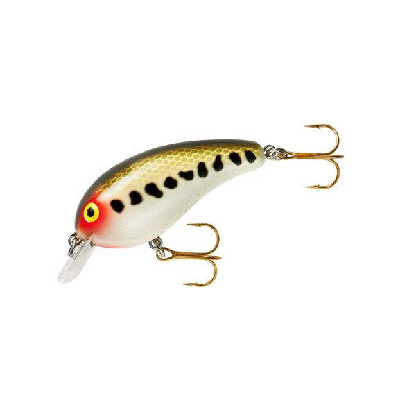 Cotton Cordell Big O Square-Lip Crankbait Fishing Lure, Great for Shallow Water Fishing, Freshwater Fishing Accessories, Baby Bass, 2", 1/4 oz