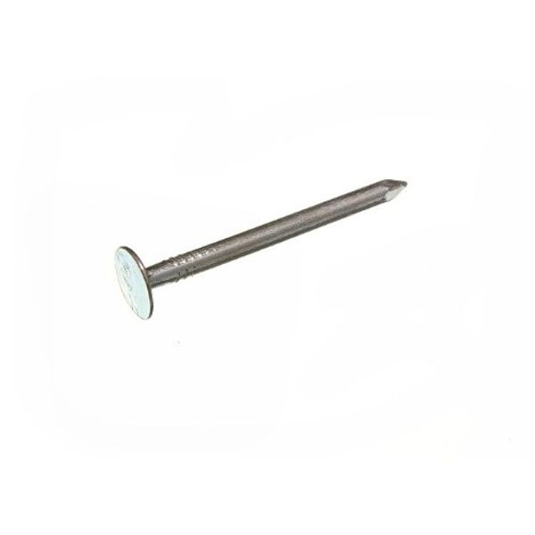 240 X 40mm Galvanized Steel Weatherproof Clout Nails