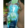 Sumber Ayu sabun daun Silly, 200ml (Musk)