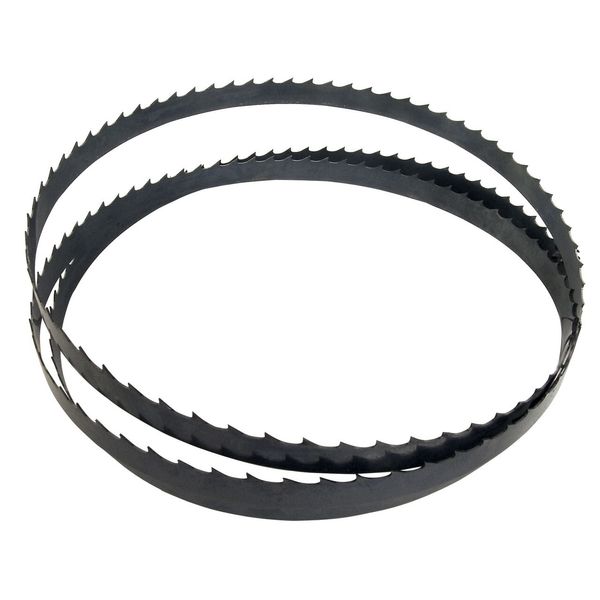 100” BAND SAW BLADE 3 TOOTH BONE-IN