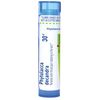 Boiron Phytolacca Decandra 30C Homeopathic Medicine for Sore Throat - 80 Pellets