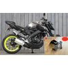Yamaha MT-125 Tail Tidy.Adjustable Angle 2014 2015 2016 2017 2018 2019 MT125 *Plug & Play*