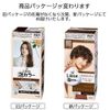 Liese Prettia Bubble Color Hair Dye