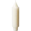 Root Candles 59517 Unscented Timberline Collenette 5-Inch Dinner Candles, 8-Count, Ivory