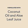 Dollar Shave Club, Shave Cream 2-Pack, Formulated with Aloe Leaf Juice, Macadamia & Coconut Oils, No Alcohol, Synthetic Dyes or Parabens, Extra Thick Pillowy Cushion with Mint Tingle