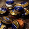 Saphir Cream Surfine Shoe Polish BORDEAUX 08