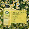 Herbal Essences Shine Collection Conditioner 13.5 Fl Oz