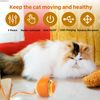 Automatic Self Moving Bouncing Rolling Ball for Indoor Cat Kitten with Lights