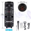 Dual 8 Inch Woofer Bluetooth Speaker System Portable Party Mic Remote FM