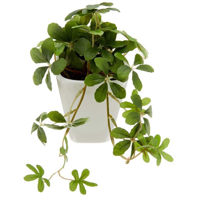 KI Japan Interior Green, Artificial Flowers, House Plants, Photocatalyst, Fake Green, KU Sugarvine (Total Length: 5.5 inches (14 cm), White, Pottery, Square Pottery