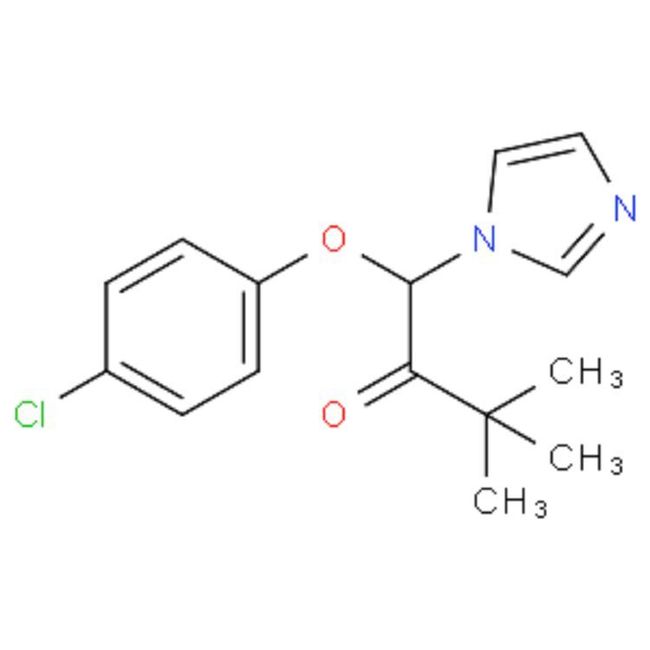 20g CLIMBAZOLE Make Cystiphane DX2 Dandex Phytosquame Anti Dandruff shampoo