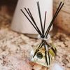 Bridgewater Fibre Reed Dress Diffuser Spring