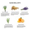 GREENSLEEVES Essential Oil - 10ml (Lemongrass)