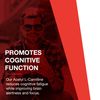 Protocol Acetyl- L-Carnitine 500mg - Energy Supplement, Nerve, and Brain Support - 100 Veg Caps