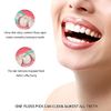 Floss Sticks Dental,100Pcs Mint Floss Picks for Teeth Cleaning