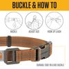 Carhartt Nylon Duck Dog Collar, Light Moss, Medium