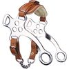 Hackamore