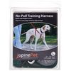 LupinePet Basics 3/4" Green 16-26" No Pull Harness for Small-Medium Dogs