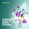 Degree Advanced Antiperspirant Deodorant Dry Spray 72-Hour Sweat and Odor Protection Sexy Intrigue Deodorant Spray For Women With MotionSense Technology 3.8 oz
