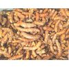Turmeric Roots Certified Organic Curcuma Longa Tea,  Boost Immune System 8oz