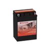Power Sonic PTX14AHLBS-FS 14AH 210CCA Battery (Replacement)