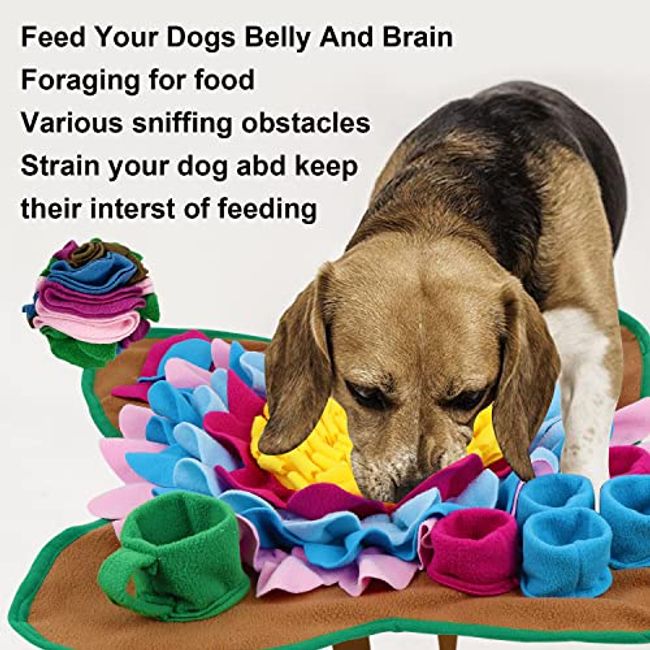 Pet Supplies : TWOPER Interactive Snuffle Ball for Dogs - Treat