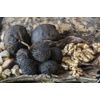 Pure Herbs: Black Walnut Hulls - 4 oz.