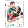 It's a Wonderful Life: 65th Anniversary Edition [DVD]
