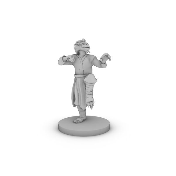 Dragon born Monk Male Tabletop DND Gaming Miniature