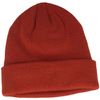 Breiter Knitted Winter Hat Beanie with Soft Thinsulate Lining - One Size, earth