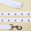 'Cute Brown Bear' Dog Lead/Leash (DL00024167)
