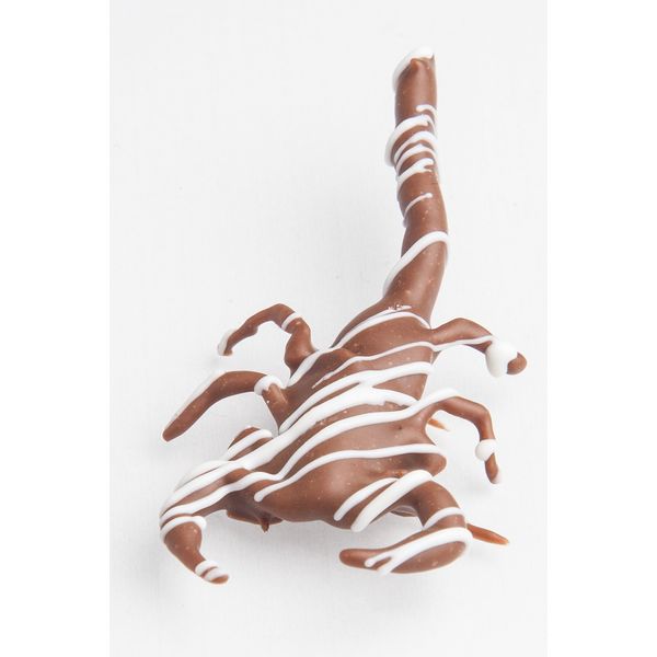 Hotlix Chocolate covered Dessert Scorpion