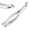 PC EXTRACTING Forceps # 10S Upper MOLARS Dental Instruments