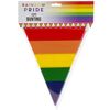 Rainbow Pride Bunting Flags 12 Foot Party Banner
