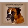 CafePress Soft Ear Boxer Mousepad Non-slip Rubber Gaming Mousepad